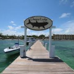 Beatles66's profile picture. 