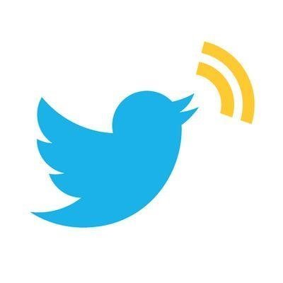 osos2523's profile picture. 