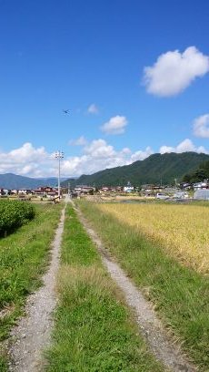 飛騨古川の酒屋さん❗蔵元(蓬莱)の前にある、味のあるお店。たぬきの置物が目印。築117年のお店には古川の地酒全種類🎵他/飛騨の焼酎、和リキュール、地ビール、名物菓子他、一般的な飲み物も取扱ています。お酒の分かる店員があなたの好みのお酒をオススメします。(^o^)❤古川へお越しの際は立ち寄ってなぁ。