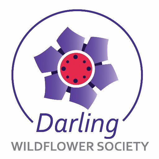 Darling Wildflower Society | Promoting  #wildflower #conservation since 1917 |  The oldest wildflower show in the Southern Hemisphere.