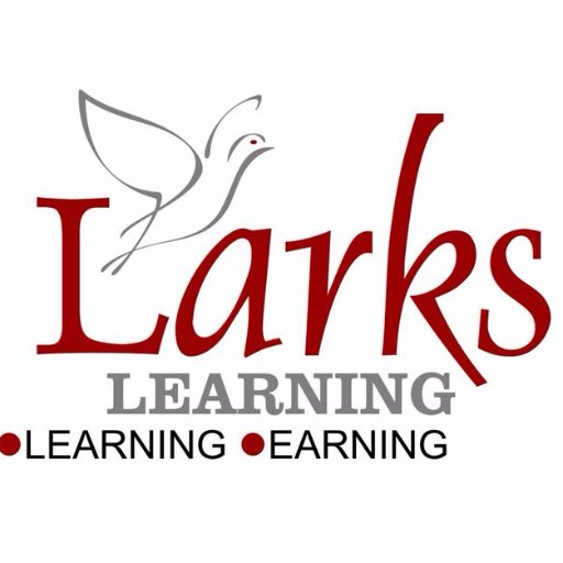 We at #LarksLearning are into #DISC assessments, behavioural #training workshops, #WomenLead #workshops , #Learning interventions. We work with #corporates