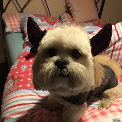 AlisonWatson515's profile picture. 