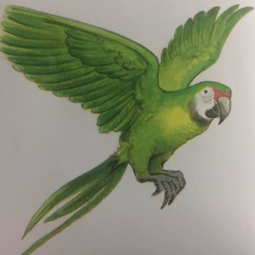 eltresortraile's profile picture. Som unes mestres que estén fem un curs de tràiler de lectura. El nostre llibre és L ' illa del tresor.