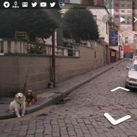 MapPerros (@mapperros) 's Twitter Profile Photo