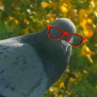 wakey wakey (@wakeywakeybot) 's Twitter Profile Photo