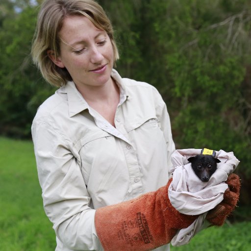 🦇 disease ecologist & veterinarian, soon to be Horizon Fellow at Sydney Uni, using  One Health approaches to study #viralspillover from bats #TeamHB7 She/her.