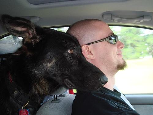 HomeYield's profile picture. powerlifter, entrepreneur