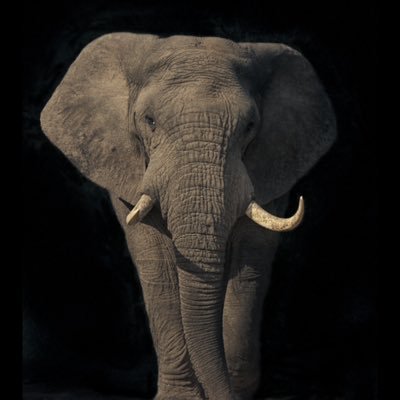 DandoValperiso's profile picture. 