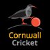 Cornwall Cricket (@CornwallCricket) Twitter profile photo