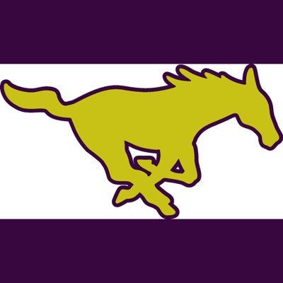 Burges_Mustangs Profile Picture