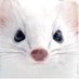 ์์ (@9b29) Twitter profile photo ์์ (@9b29) Twitter profile photo