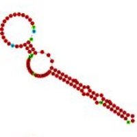 sRNApapers (@srna_papers) 's Twitter Profile Photo sRNApapers (@srna_papers) 's Twitter Profile Photo