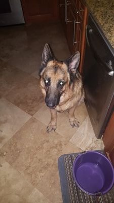 jasonalvy's profile picture. 