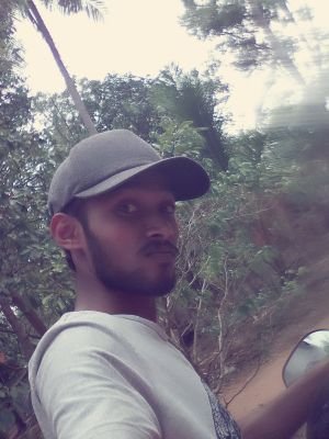 MSgeethana's profile picture. 