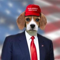 Truth 'ULTRA MAGA deplorable garbage' Beagle™ (@truthbeagle) 's Twitter Profile