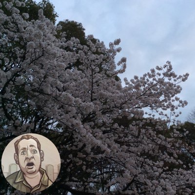 mc_asahina's profile picture. MC.Not P.I'm a p{l|r}aying fool and old-fashioned lone drunkard in the worlds end.Tomorrow is another day,but never good day.あらざらむこの世のほかの思ひ出に沈黙の螺旋の渦中より書き遺す防人の詩.