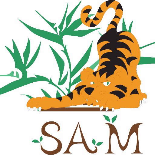 Só Ambientais(SAM) É Um Publicação Dedicada A Reportagens, Matérias, Artigos, Notícias Informações Sobre Meio Ambiente E Ecologia.