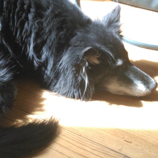 Thejwoge's profile picture. Autorin, NaNoistin, federschwingende  Leseratte, Twitterneuling, Blogbeginnerin und Studentin