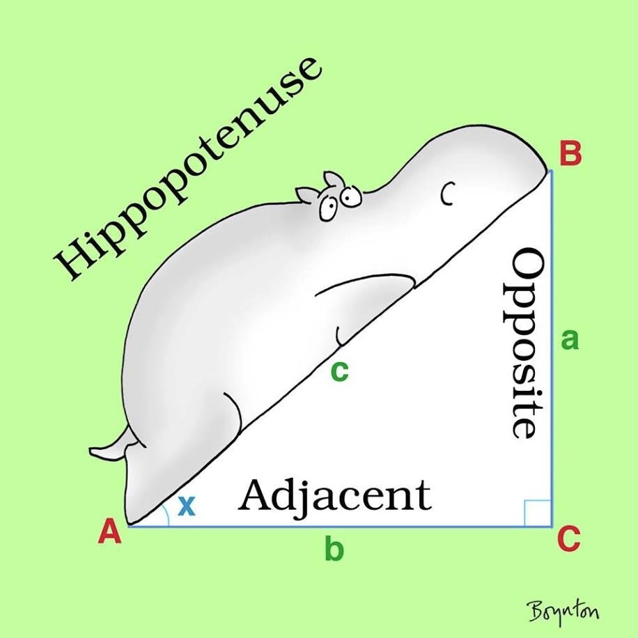 GTrmrick's profile picture. 