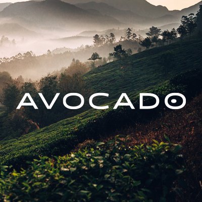 AvocadoMattress Profile Picture