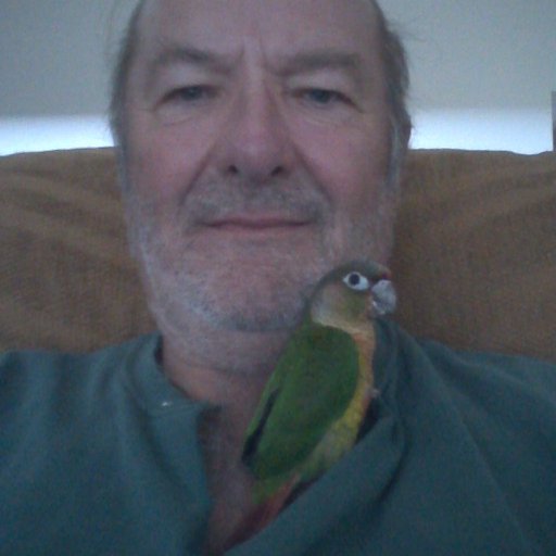 grizzwright's profile picture. 