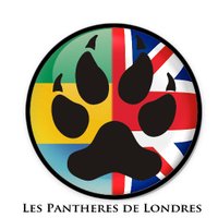 Panthères de Londres(@FreeGabonUK) 's Twitter Profile Photo