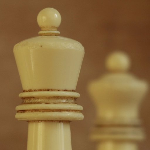 TopChessMoves's profile picture. Only the finest chess moves. A bot by @crime_crab