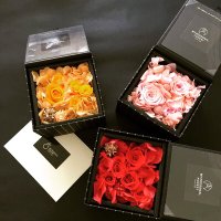 WENHU ZHANG (@wenhu_zhang) 's Twitter Profile