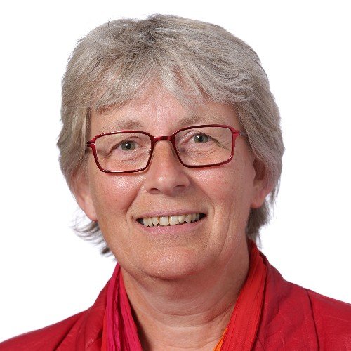 tuinhek's profile picture. 