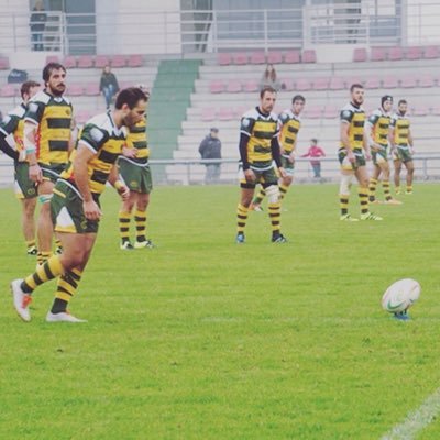 nicoforestier's profile picture. 