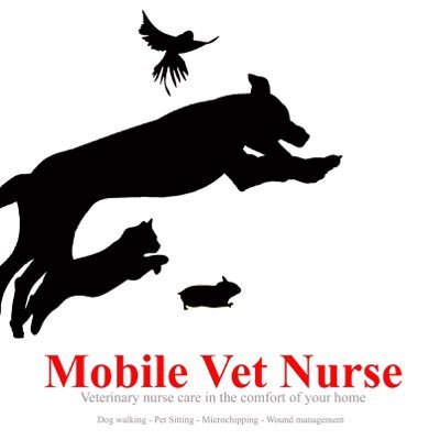 vetnurse_mobile's profile picture. Animals Dogs Pets Petsitter Dogwalker
