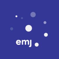 Mundus Journalism (@mundusjourn) 's Twitter Profile