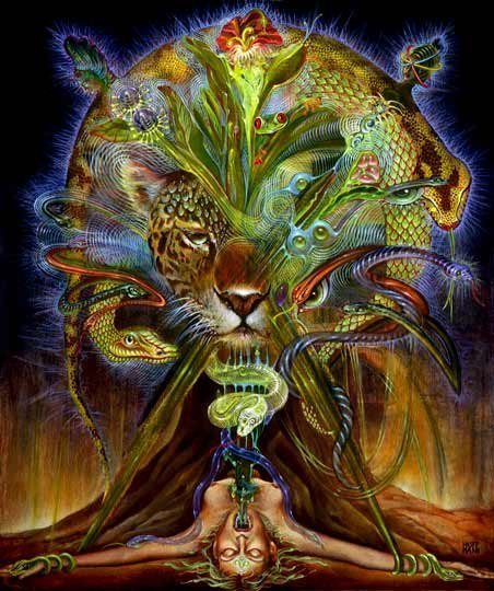 _1a_'s profile picture. Founder, Executive Visionary Officer, Artist, Scientist, Patent Attorney, Networking Extremist, Husband, Father, Son, Brother (the rest @simonhamer)