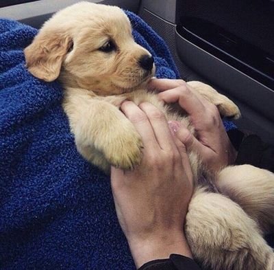 _grachevanastya's profile picture. 