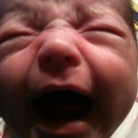 Hawk (@hawk2973) 's Twitter Profile