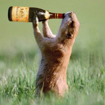 Vincent85659321's profile picture. My girlfirend