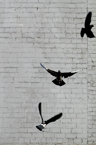 Moonvein's profile picture. Moonvein Eth is an Innerspatial Consultant,Freedom fist/Heartlight, Astropage,consumer of mushroom steaks &chlorophyll Image: ShootingBrooklyn