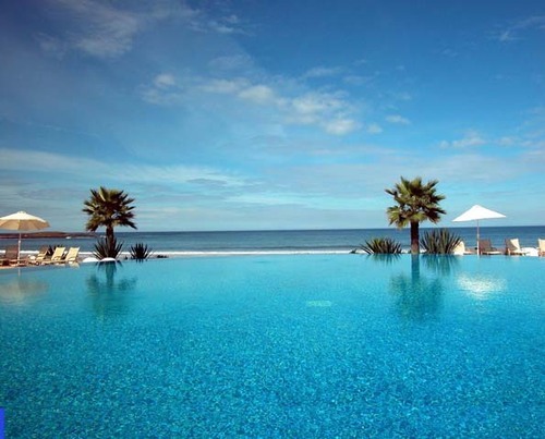 LAmphitrite's profile picture. 