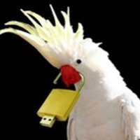 eva gonzalez (@jasperrosa) 's Twitter Profile Photo