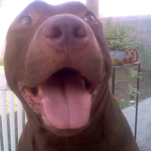 jorgecjs1978's profile picture. ME GUSTA EL ROCK!!