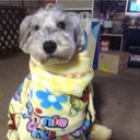 king (@0820_cat_lovely) Twitter