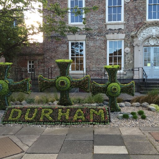 Durham University - Institute of Advanced Study
