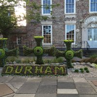 Durham IAS(@DurhamIAS) 's Twitter Profileg