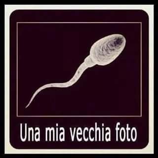 ...al di là di ogni incommensurabile fantasia...