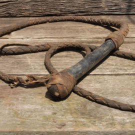 SocietyBullwhip's profile picture. An archaeological resource center for job opportunities, learning resources, archaeological articles, discoveries, and scholarships.