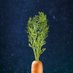 Kevin The Carrot (@KevinTheCarrot_) Twitter profile photo