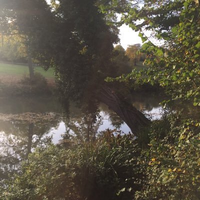 PhinPett's profile picture. Based in London.
