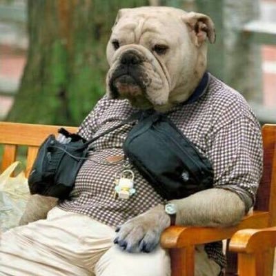 tutan517's profile picture. 