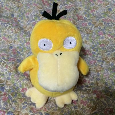 コダックのアルバム Kodakkualbum Twitter コダックのアルバム Kodakkualbum Twitter