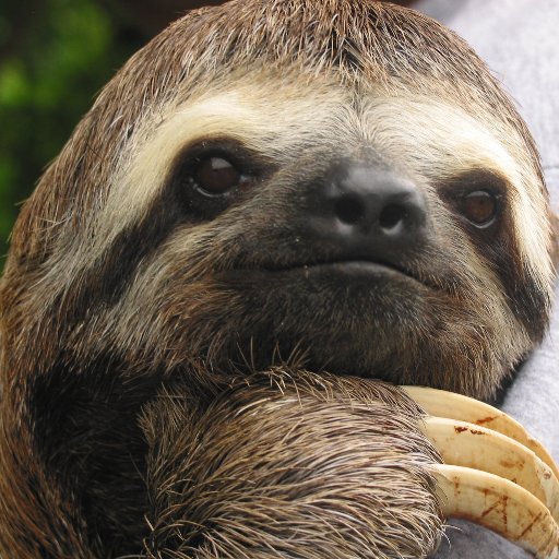 ErrorOutBounds's profile picture. I have a ghost